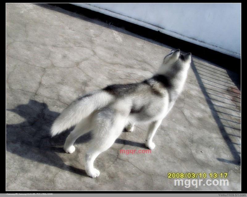 上官子寒的第10张照片