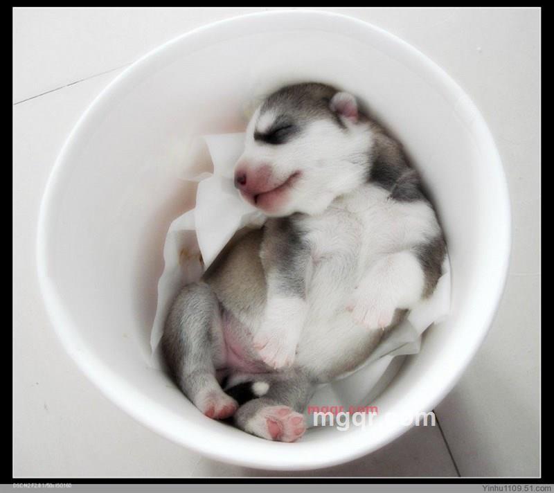 上官子寒的第13张照片