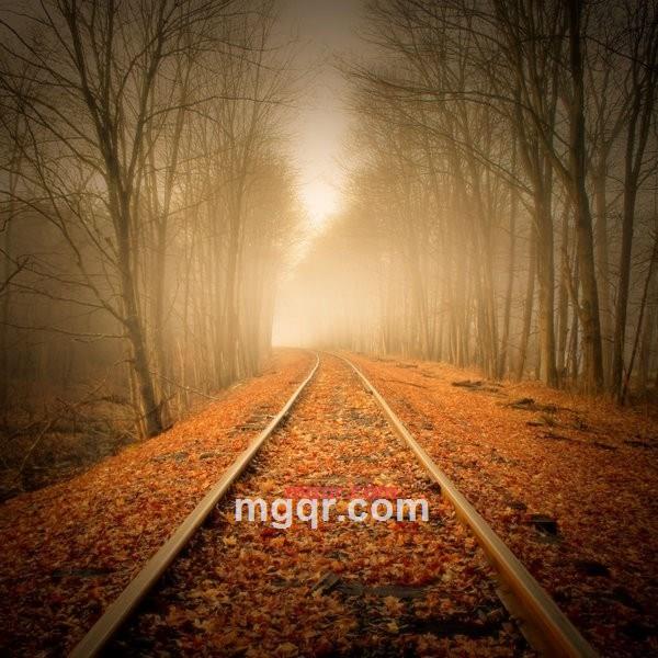 沙漠狮子的第4张照片