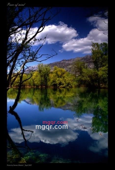 沙漠狮子的第2张照片