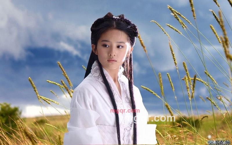 晚秋的第2张照片