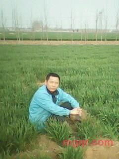 youlaiyouhui的第2张照片