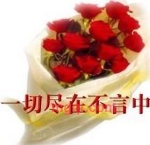 会员686875的第1张照片