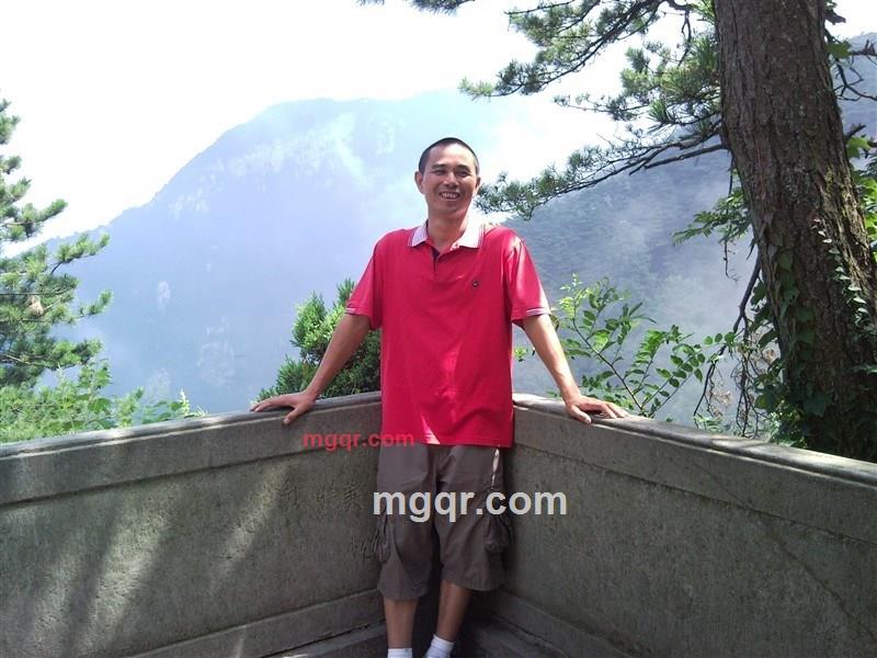 悬崖青松的第5张照片