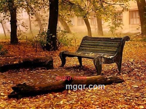 carlantoine的第1张照片