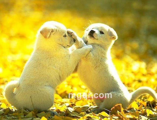 海边的浪花的第5张照片