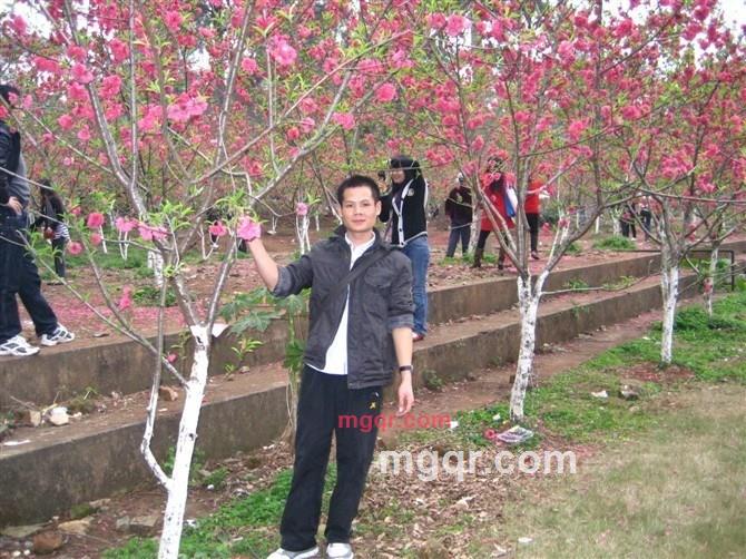 宣言情人的第2张照片