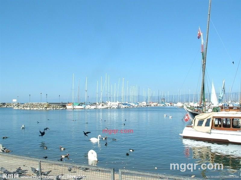 成都素质男的第3张照片