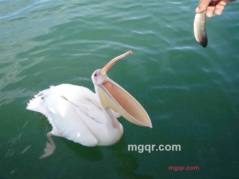 成都素质男的第2张照片