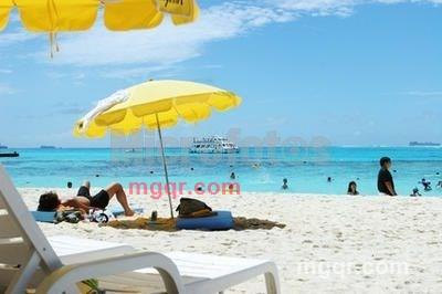 成都素质男的第1张照片