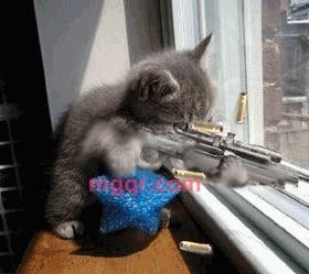 华安9527的第1张照片