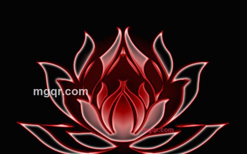 花开时的第4张照片