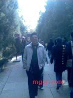 官路风流的第1张照片