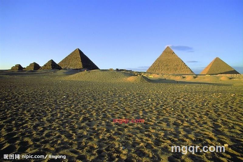 小狐狸007的第1张照片