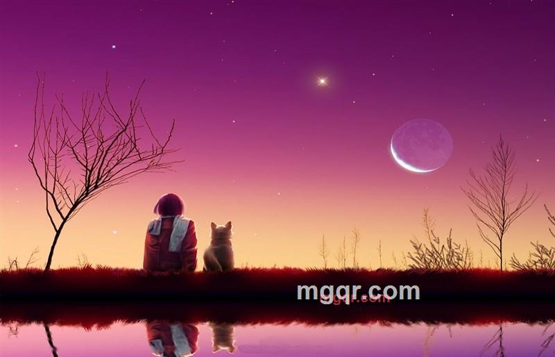 ren911的第3张照片