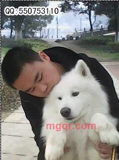 м ._飞的第1张照片