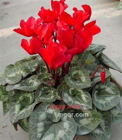 逍遥客N的第3张照片