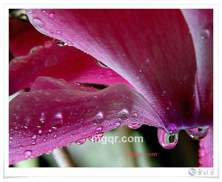 逍遥客N的第2张照片