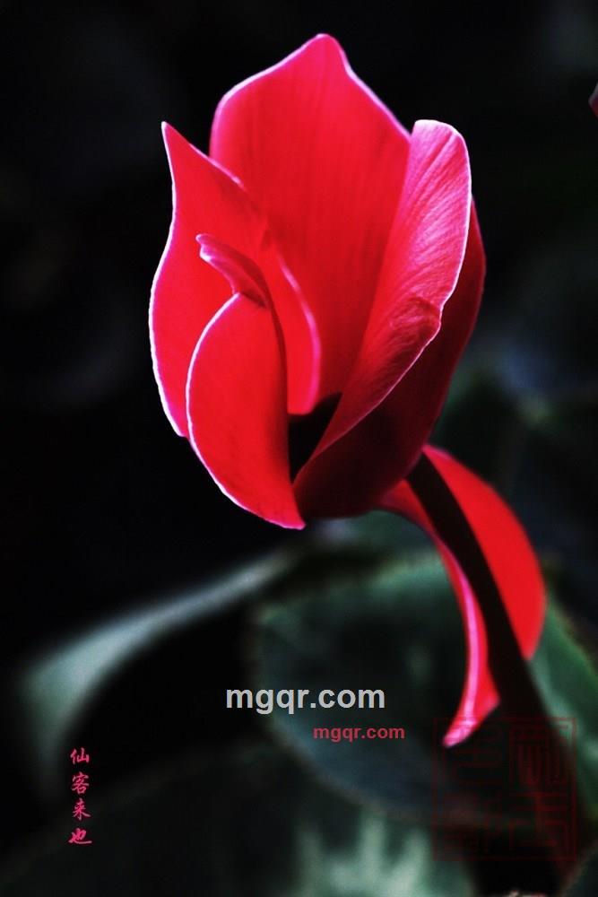 逍遥客N的第1张照片