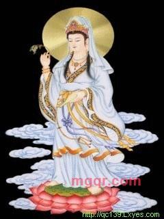 排优解难的第1张照片