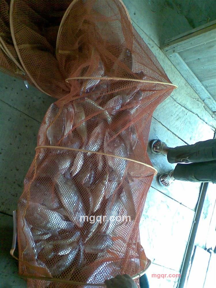 水与沙的第1张照片