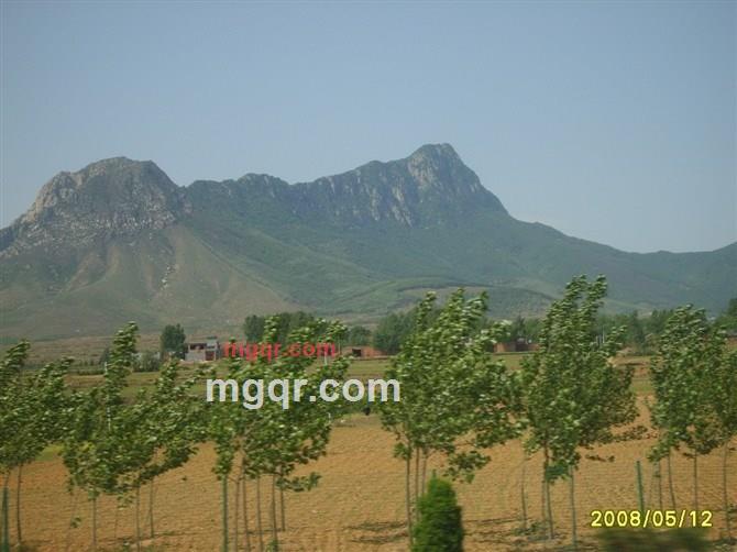 sarro的第4张照片