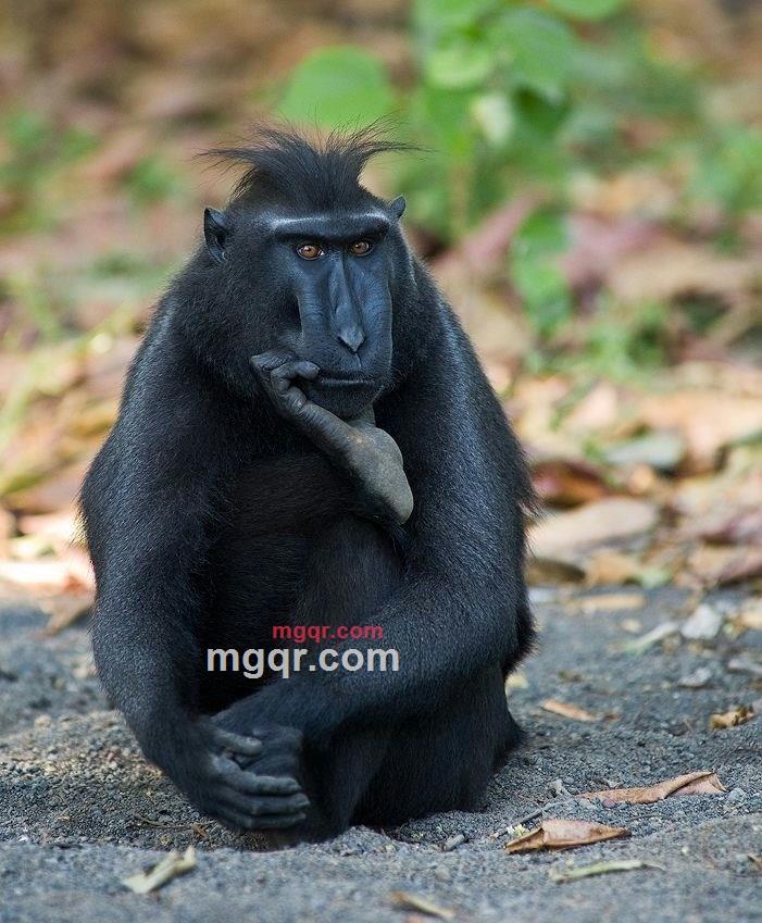 浅黄的第2张照片