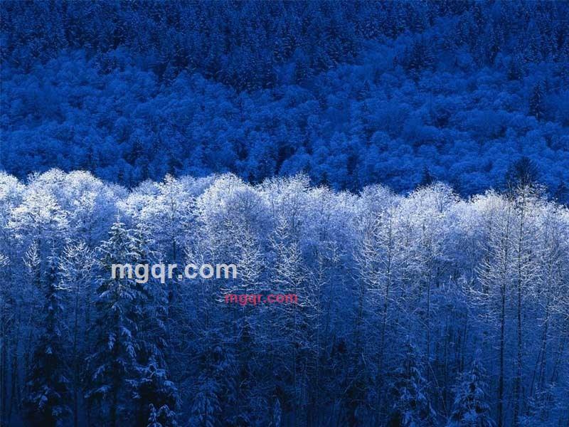 玉龙雪山鹰的第1张照片