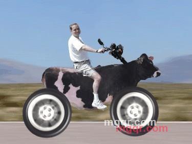 大连山峰的第1张照片