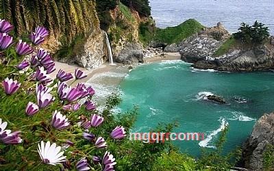 xinzi1580的第3张照片