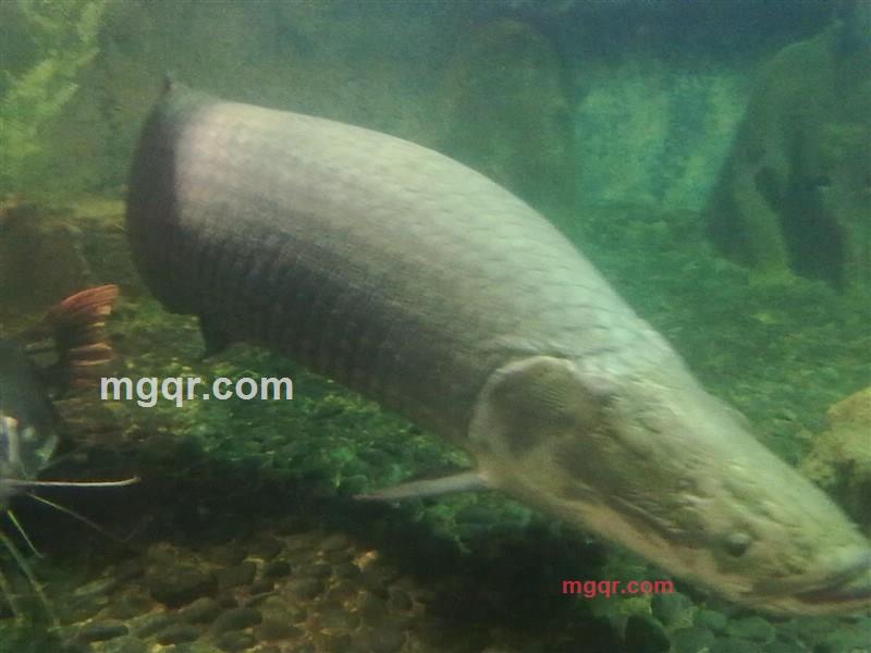 杨天凡的第10张照片