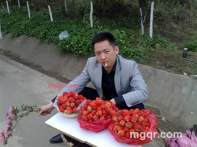 座头市的第6张照片