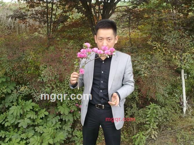 座头市的第7张照片