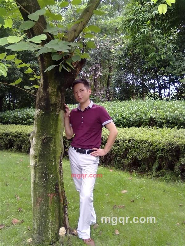 座头市的第3张照片