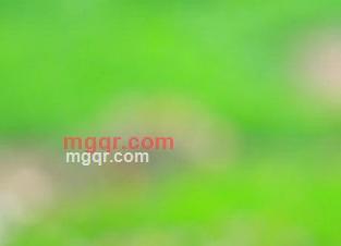 大自然风光的第1张照片