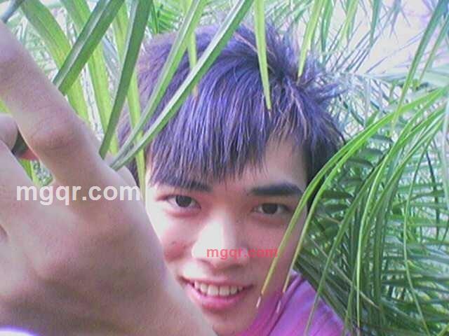 伤感小猪的第1张照片