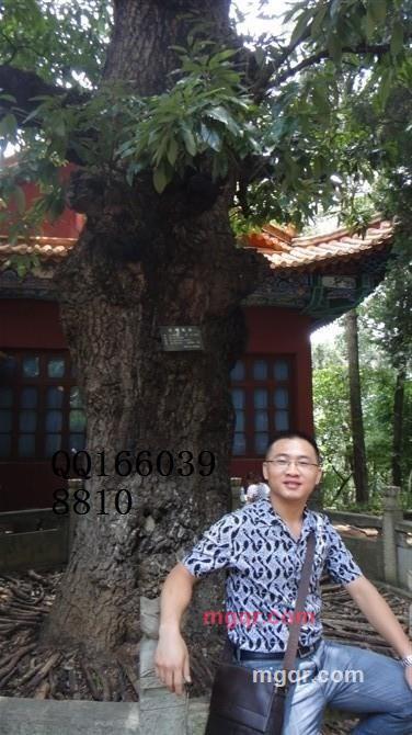 一缕烟云的第1张照片