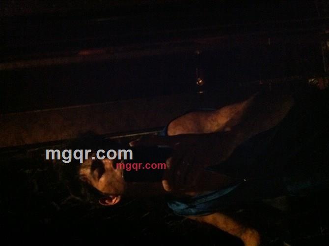 落花有意流水无情的第2张照片