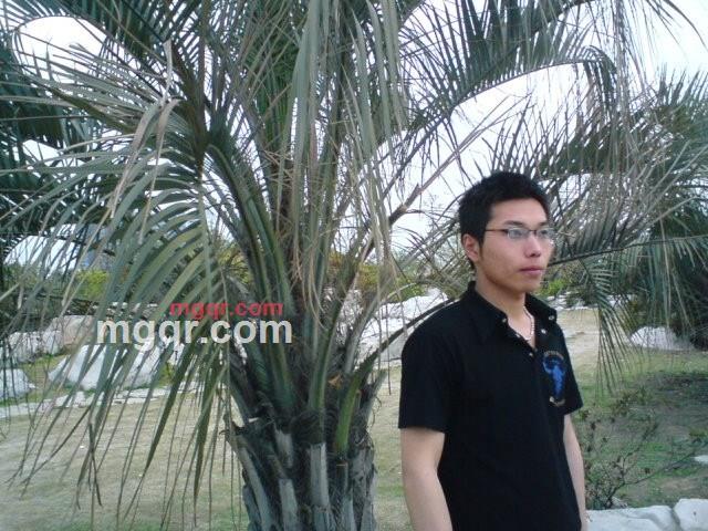 单身恋人0的第1张照片