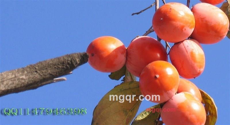 cyk28的第1张照片