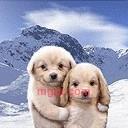 xiaotiantianA的第1张照片