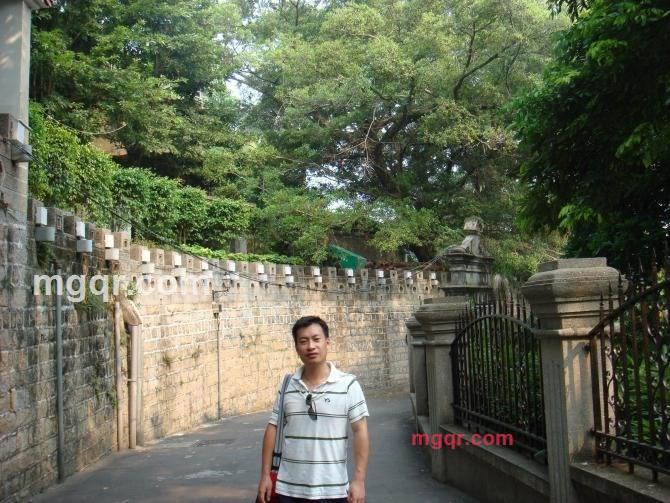 晚来天欲雪的第4张照片