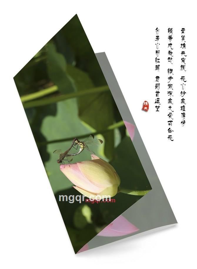 思念的心湖的第1张照片