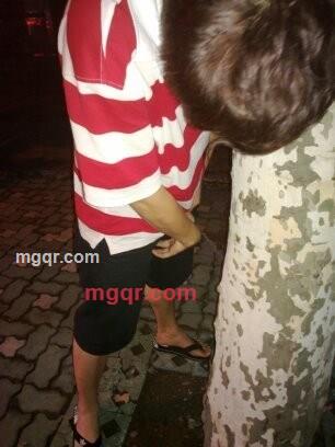 桢干的第2张照片