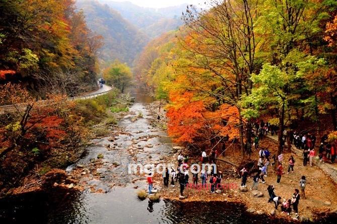 HAIREN的第4张照片