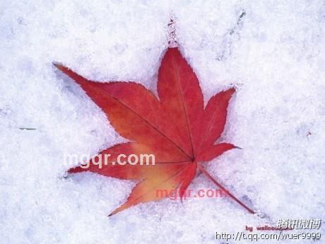 HAIREN的第3张照片