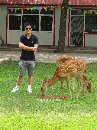 心相吸的第2张照片