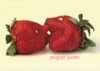 往事如歌的第7张照片