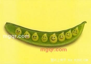 往事如歌的第5张照片