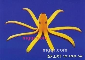 往事如歌的第6张照片